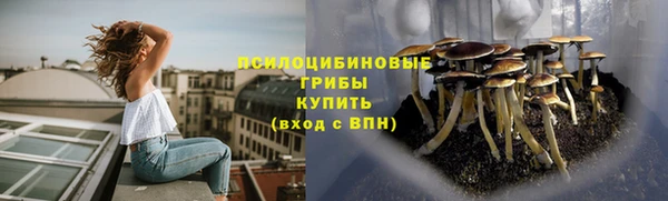 MDMA Медвежьегорск