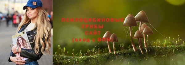 MDMA Медвежьегорск