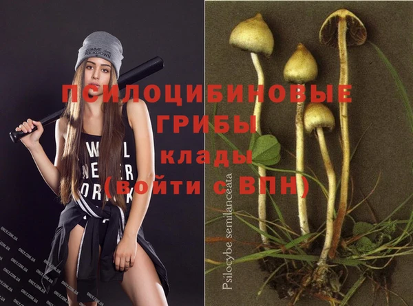 MDMA Медвежьегорск