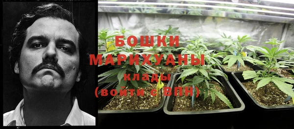MDMA Медвежьегорск