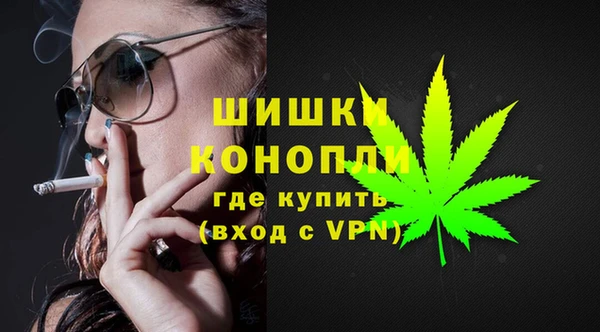 дмт Медногорск