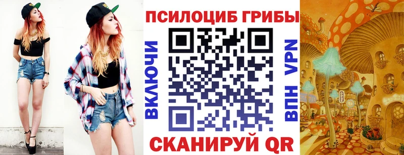 Купить закладки  Краснозаводск  Галлюциногенные грибы Psilocybine cubensis 